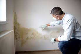 Best Airborne Mold Testing  in Nooksack, WA